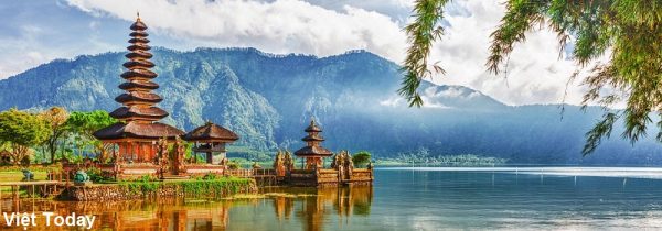 Phòng Vé Máy Bay Việt Today